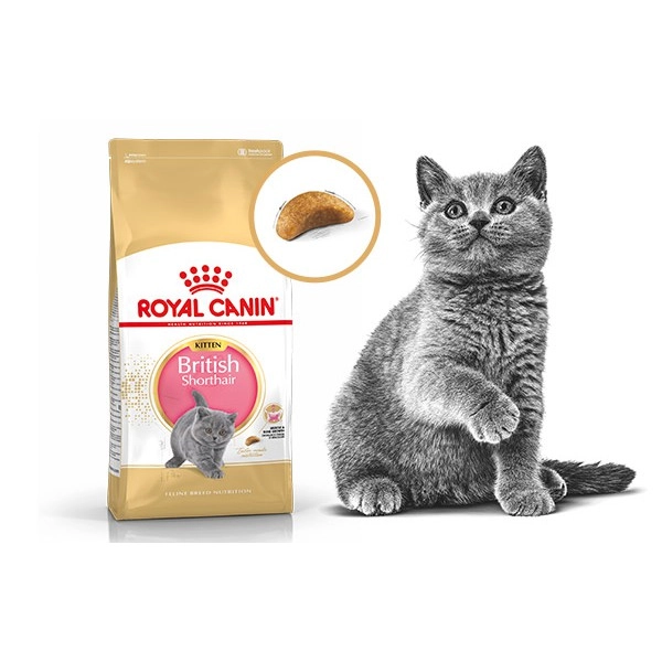 dòng hạt royal canin có tốt không